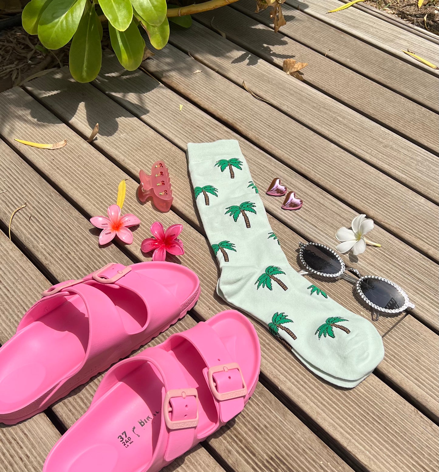 Palm Paradise