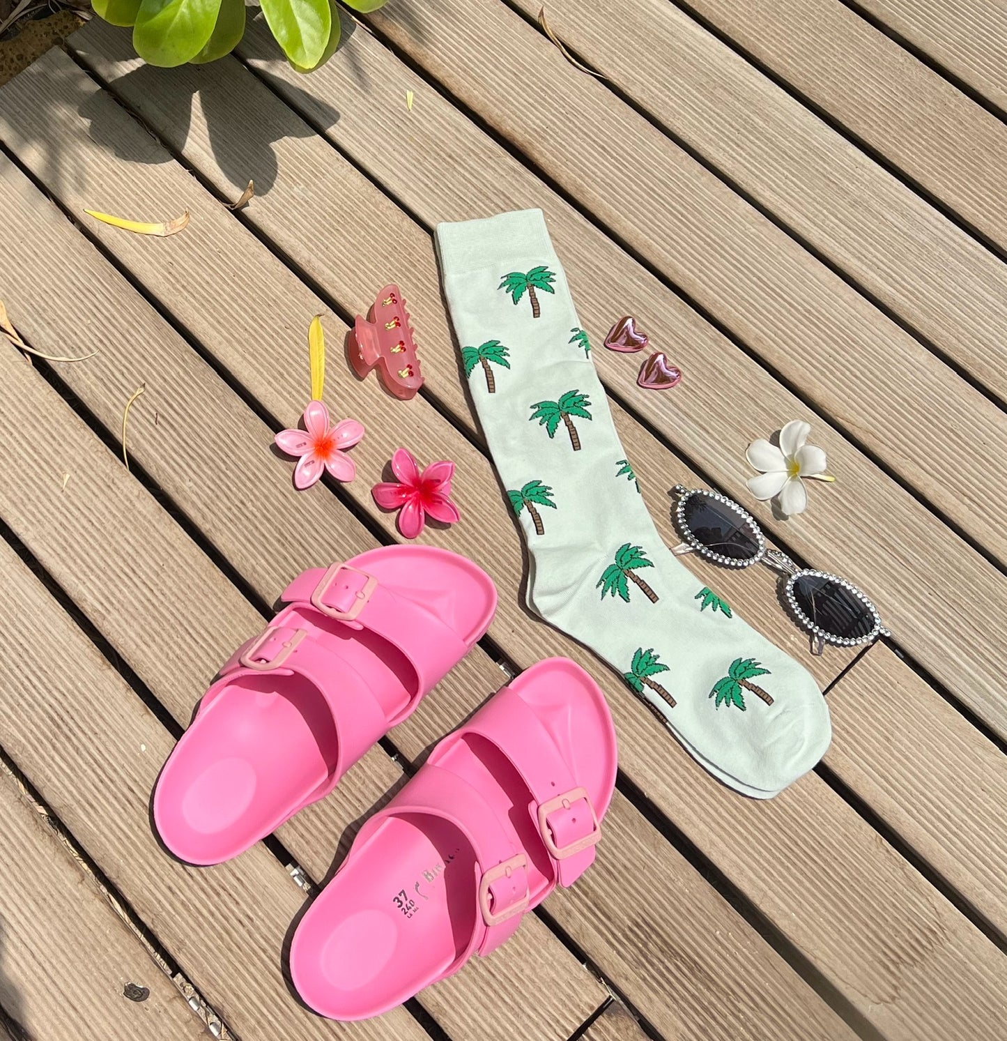 Palm Paradise
