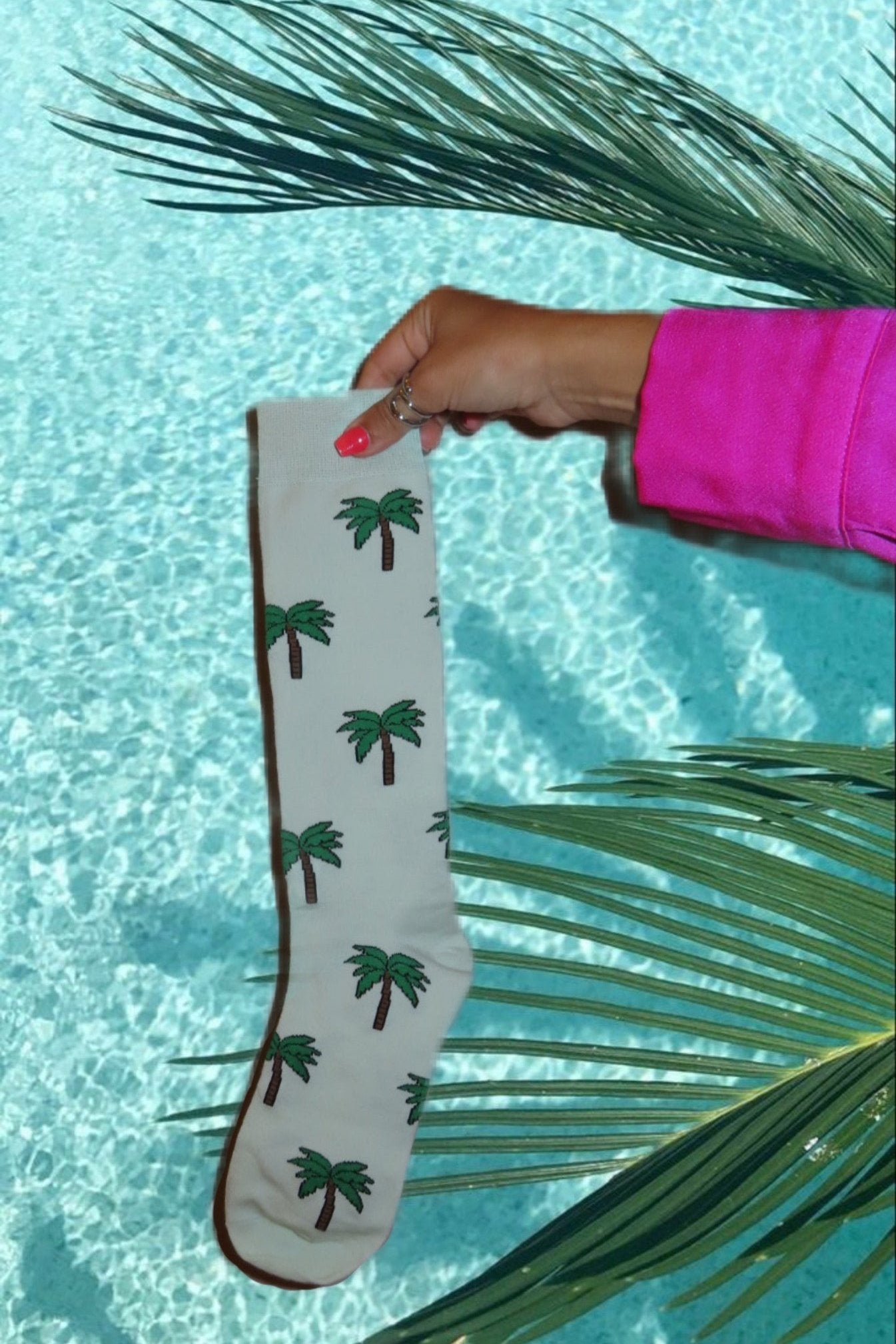 Palm Paradise